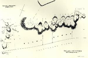 Sketch plan of Neolithic settlement on Blows Downs